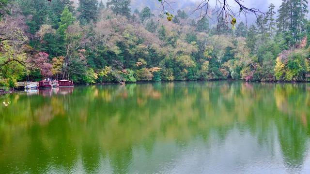 九寨沟县甲勿海熊猫园：秋色静美处，黑白团子正酣眠