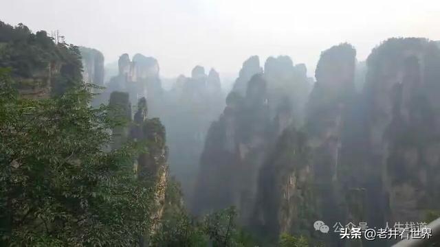 年轻的张家界 || 胡成江