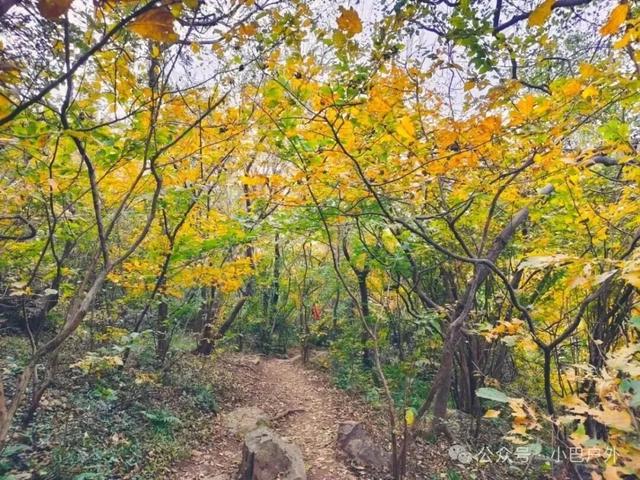 国际山岳日|今天适合爬山~