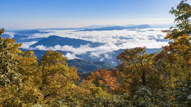 四川洪雅：瓦屋山初雪早至 彩林云海引客打卡 景区免票至11月底
