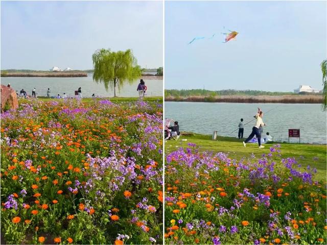 合肥版“赛里木湖”火了！好多人打卡