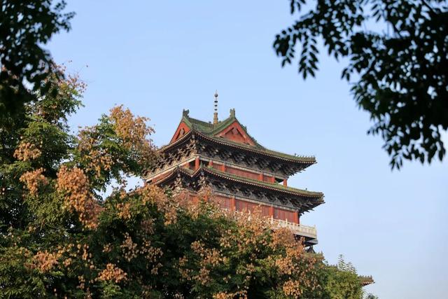“枫”景正好！开封最美秋色已上线！