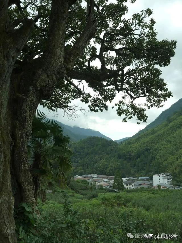 新年慢游计划｜去福建宝藏乡村浪漫跨年，给2026一个温柔的开始