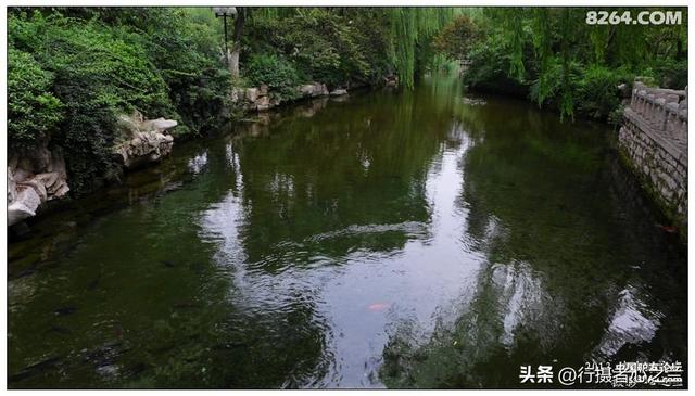 山东行游影记（11）—济南趵突泉（十一）