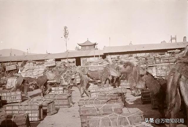 美国博物馆发现罕见照片！120年前的蒙古人，居然是这样子！