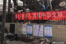 “关中道最古老的大槐树！”如果没有遗漏，就是兵马俑旁边这棵了图片