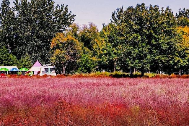 北京奥林匹克森林公园 城市中的绿色明珠