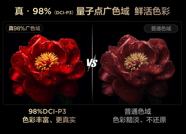 TCL电子2025年中期业绩出炉，QD-Mini LED TV表现亮眼