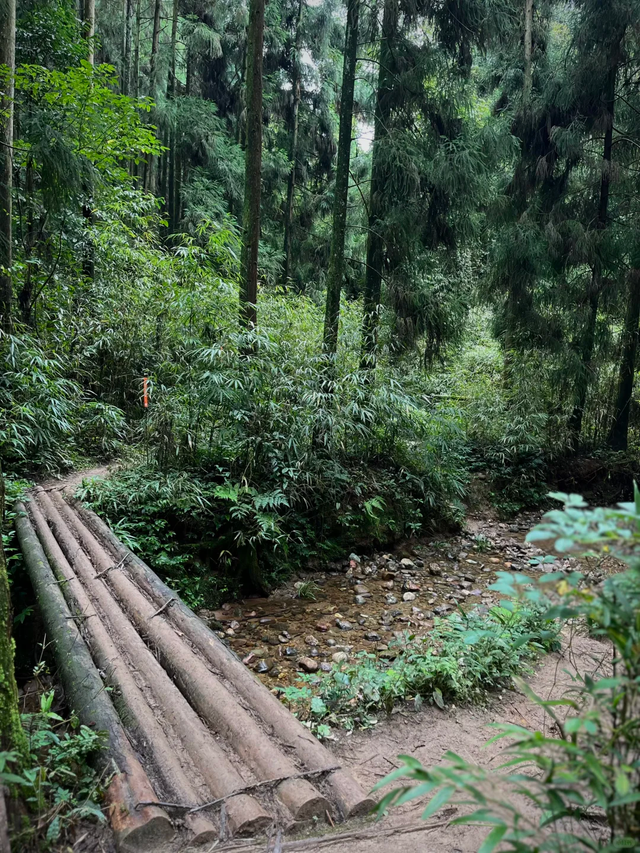 成都1.5小时可达的野山，斗底山徒步真的很酸爽！