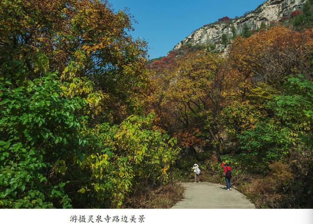 吴秀成：金秋探寻灵泉寺