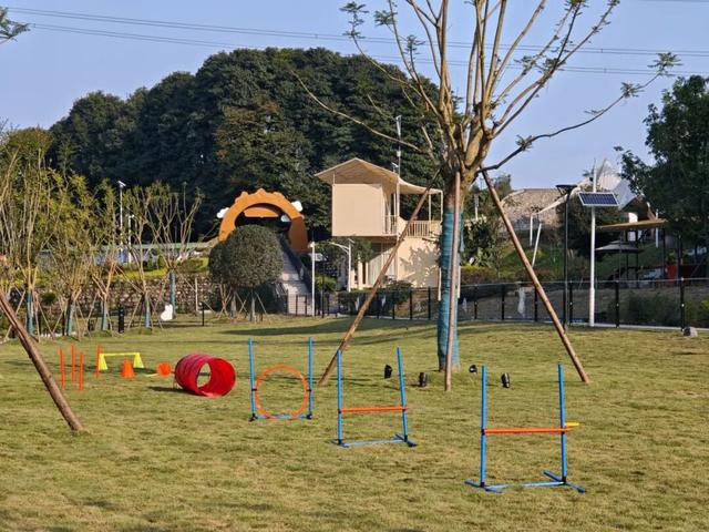 汪汪队！集合！