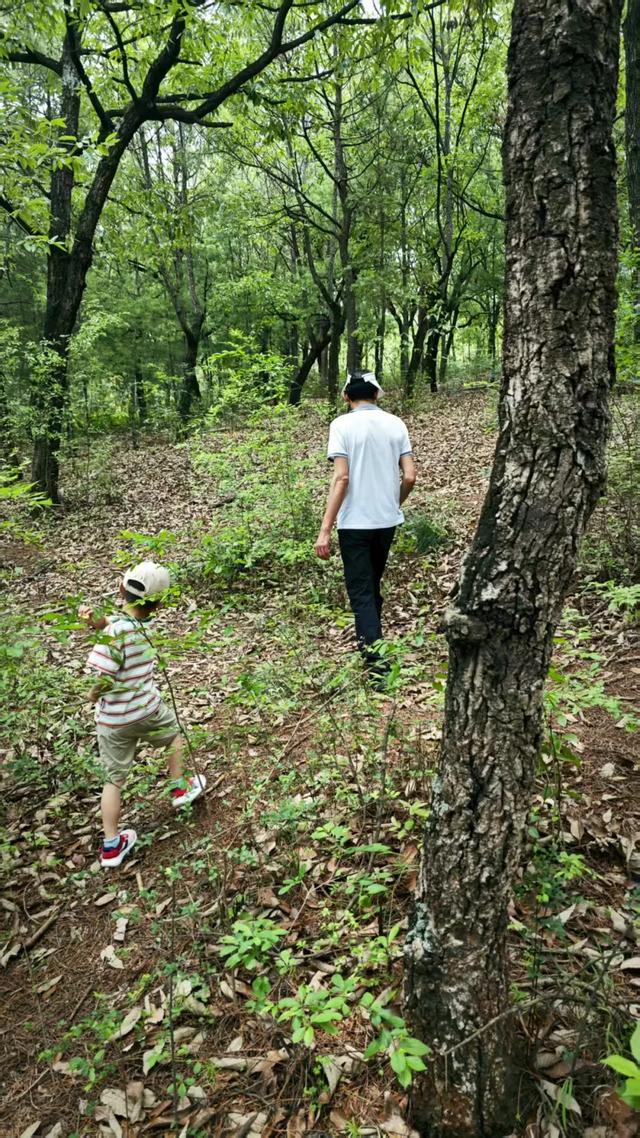 这个季节来云南，抓根树枝我们去“打野”