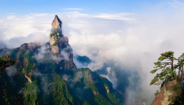台州春行录：山海寻鲜，花间寻梦