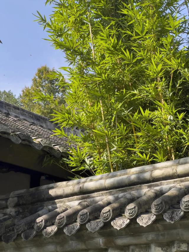隔空投送！“青木川”想要和你共享秋天