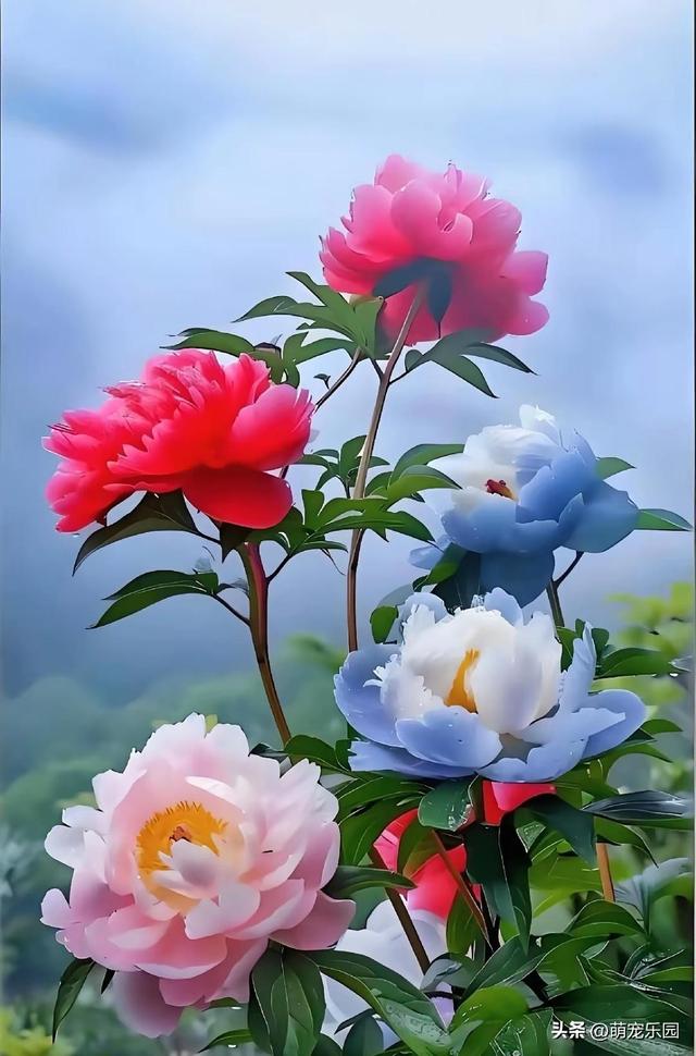 春日暖阳轻抚大地，柔弱生命散发芬芳，金辉洒落织就自然杰作