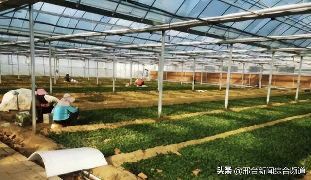 11.11行业首推“24小时菜”与“全程溯源” 京东七鲜树立生鲜品质新标杆