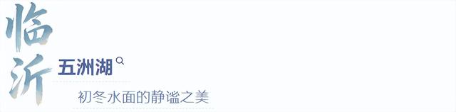 来临沂看日出！逛早市！一起「点靓」沂河的夜