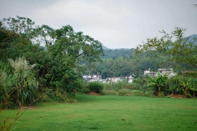 心甘情愿为它“发福”！这座小城的美食，连吃三天都不够～