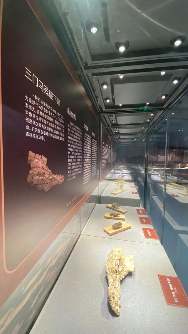 明天，呼和浩特的“宝贝”要去北京“出差”了……