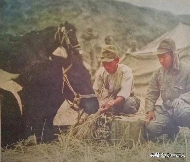 从鬼子相册中扒出1938-1941年日寇入侵河南济源时的罪恶行径