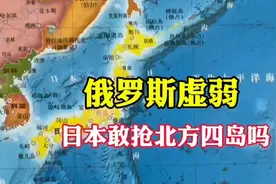 俄乌之战白热化，日本想趁火打劫？招惹俄罗斯的后果他承受不住图片