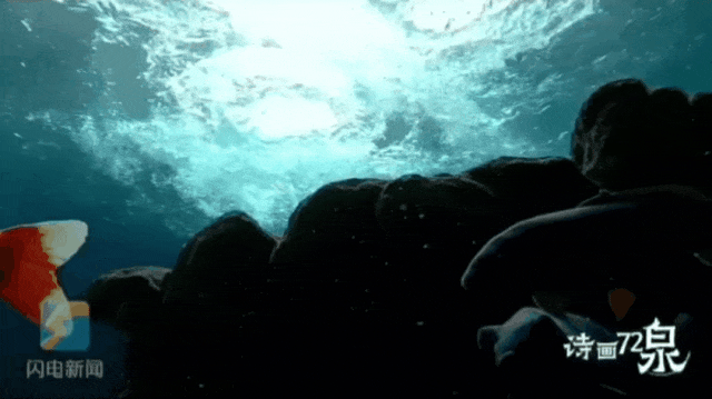 被济南泉水下的世界惊艳到了！