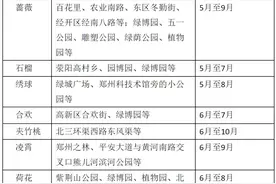 你好夏天！郑州夏日赏花指南图片