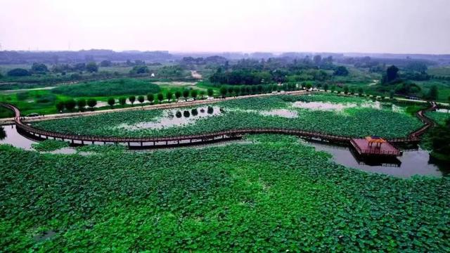 有一种烟火气叫“罗庄大集”，「美食+美景」全攻略