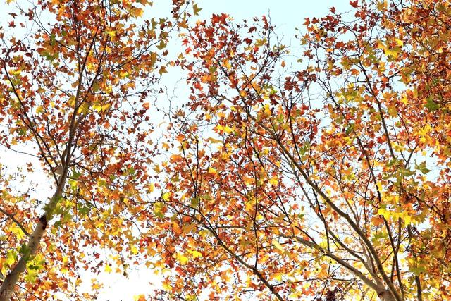 亲情在车轮上流淌 ——载着父母去旅行 之 一天三省