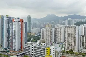 打击滥用公屋得民心！是时彻查骗取综援金，排除万难必能有所作为图片