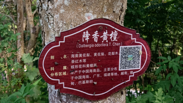 怀集这些地方，官方推荐！