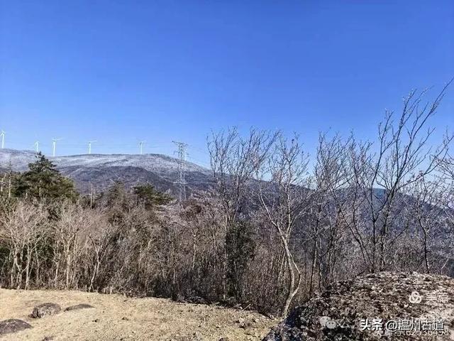 邂逅2026年的第一场醉美雾凇!温州四海山的雾凇美爆了!