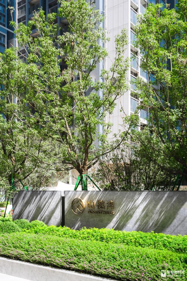 深圳的未来,为什么看前海?