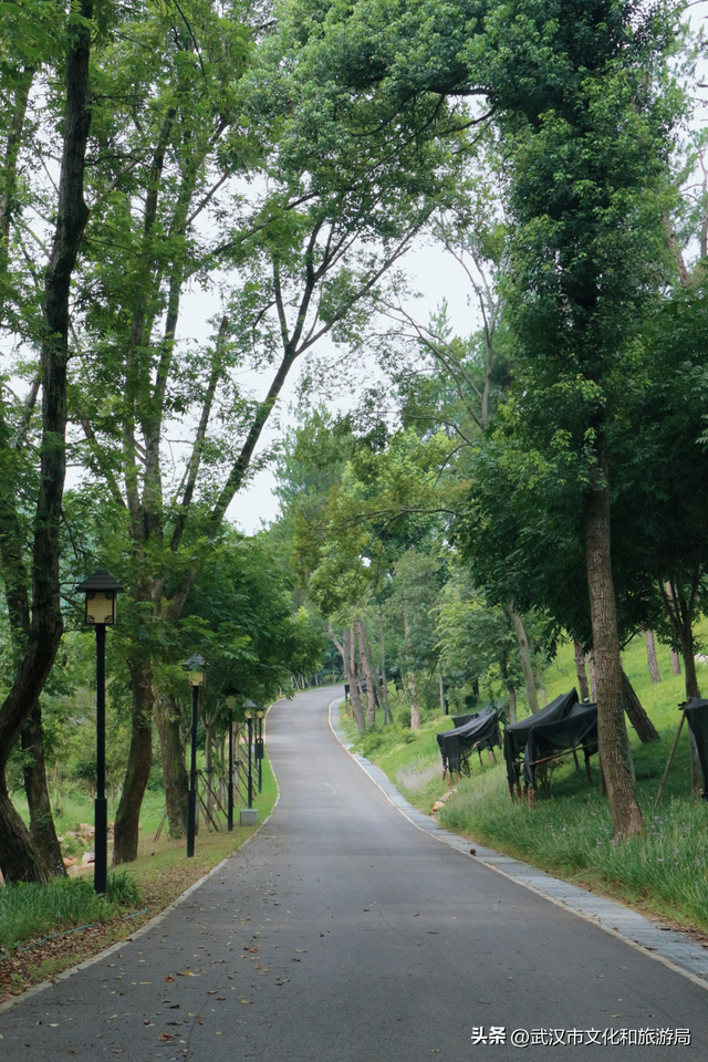 热热热！夏日避暑纳凉路线来啦