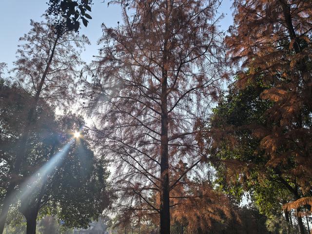 南京老山郊野一日徒步，从狮子岭兜率寺到汤泉惠济寺