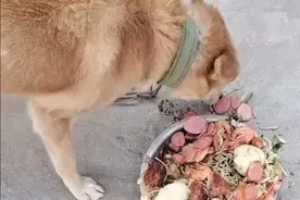 爆笑神评：你知道我在床上多么厉害嘛！图片