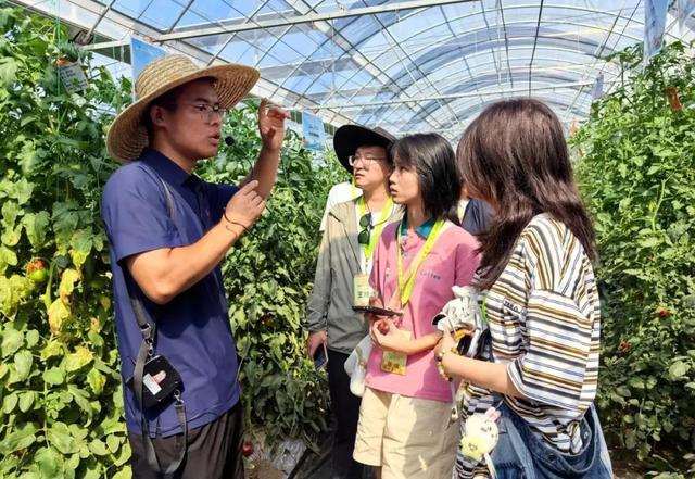 300余名港澳台与内地青年探秘宁夏 共赴自然资源保育之约——“爱我中华”青年大汇聚火车团来宁交流参访掠影