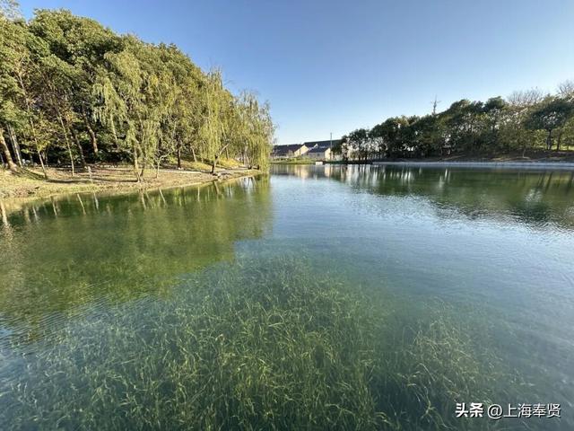 漫步河畔•贤美生活