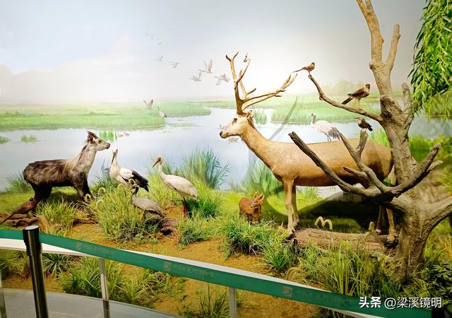 五九时节，观扬州大运河博物馆（下）