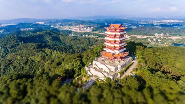 假期出游还要“卷”？建议来韶关神仙山林“森呼吸”