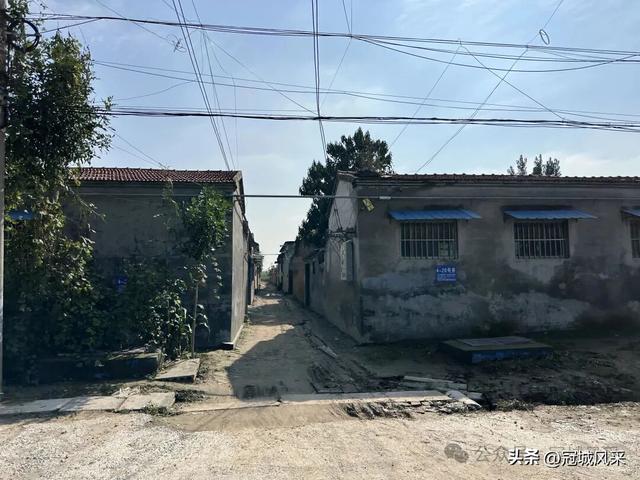 冠县乡韵·兰沃乡大柳邵村