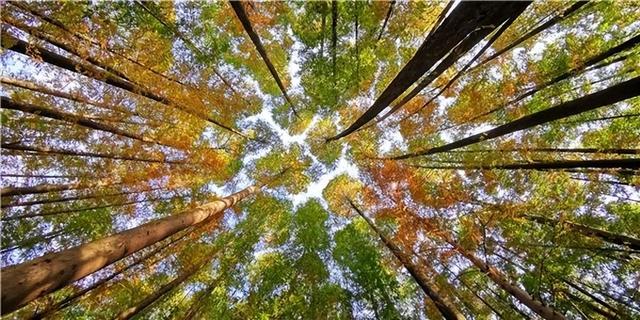 假期余额不足，苍溪这些小众景点赶紧冲