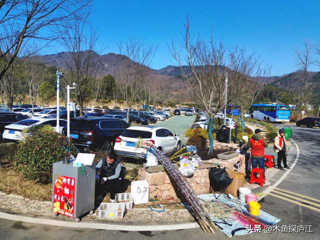 庐江牛王寨景区：周末客流迎高峰 登山品面乐享生态之旅