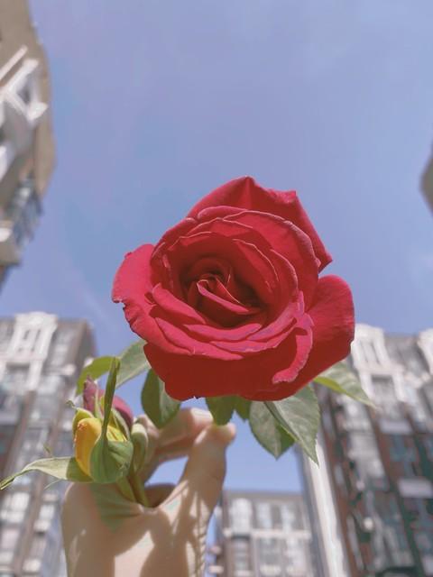 每一天都是幸福