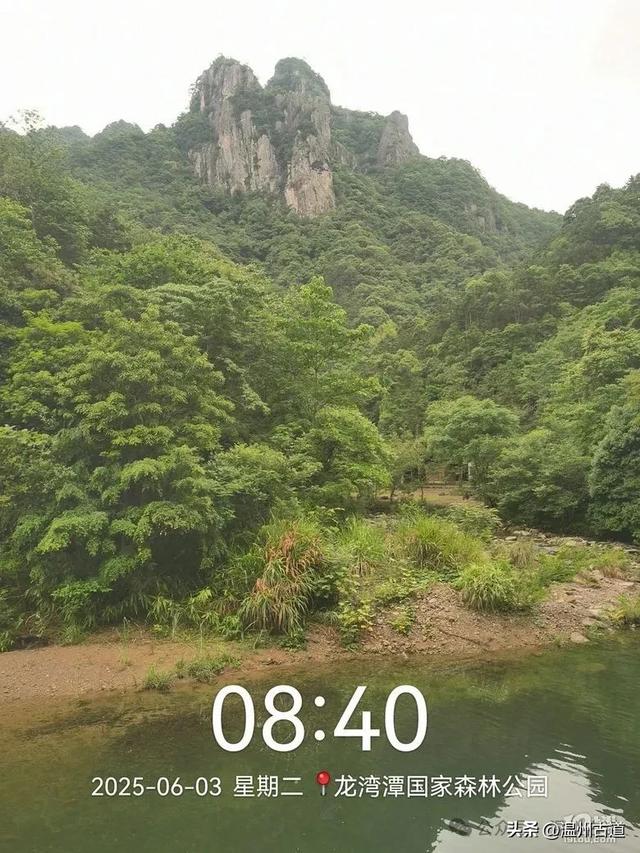 温州这个亲子游玩胜地、植物自然课堂孩子玩嗨家长不累