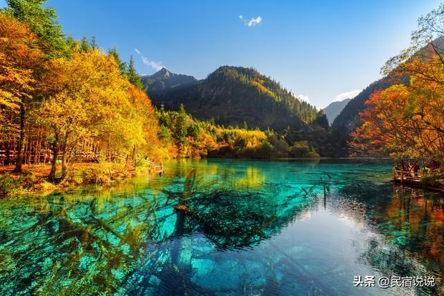 秋天，这十大红叶观赏地告诉你该去哪？