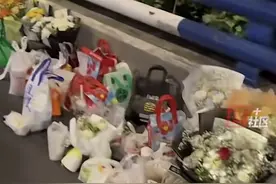 胖猫事件持续发酵，一个是小绵羊，一个是千年老狐狸。图片