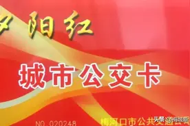 2024年夕阳红老年公交卡年审通告图片