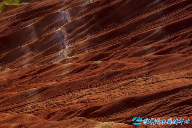 东乡大地的浪漫情书——“羊肉卷”