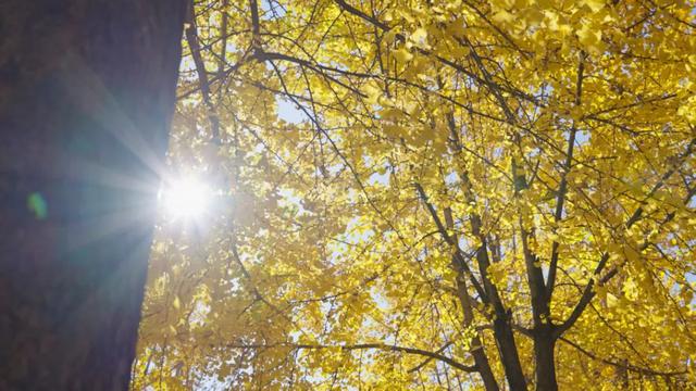 天气很冷,大理很“热”